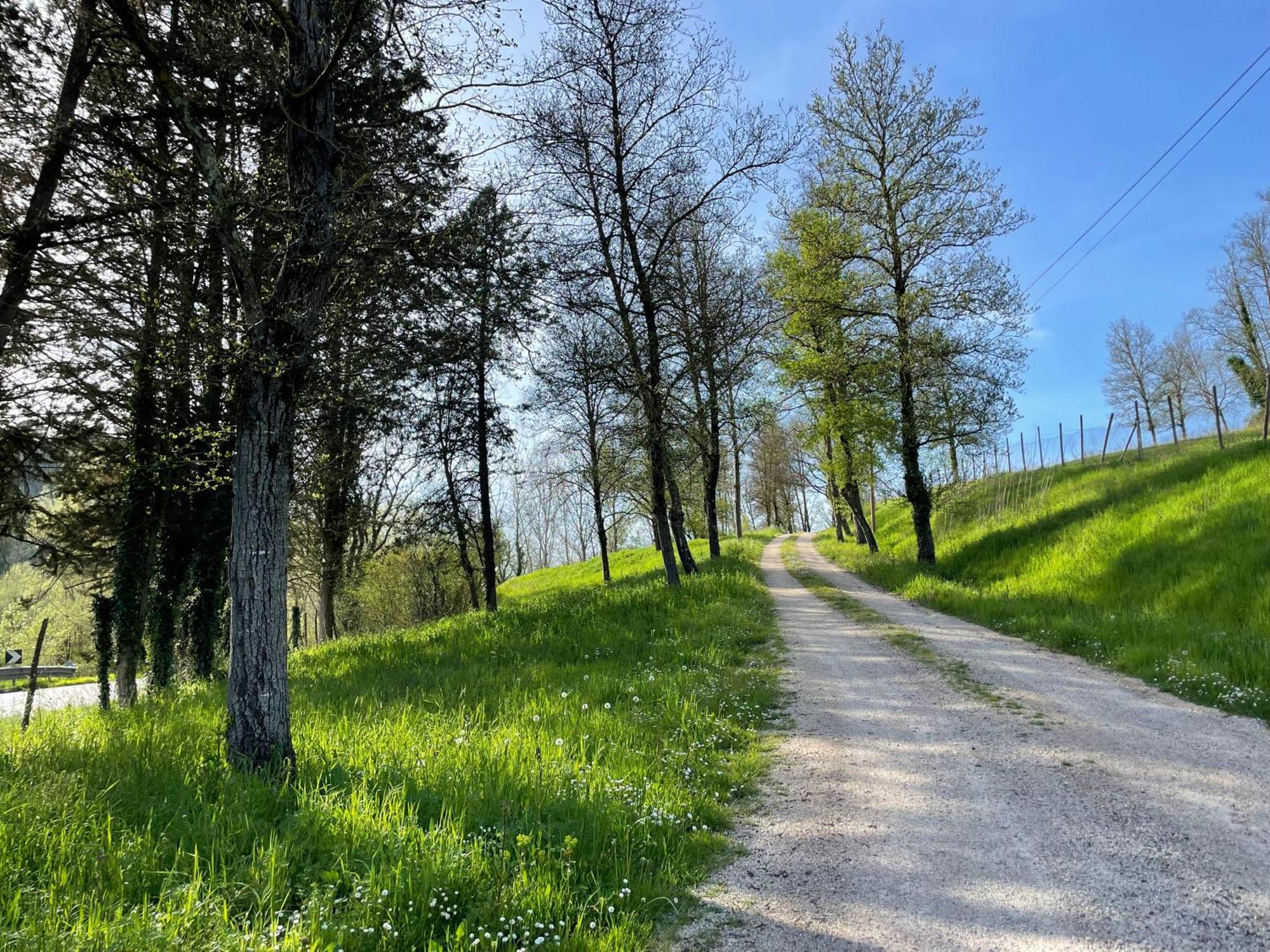 Agriturismo Podere Le Tombe Guest House Palaia Luaran gambar
